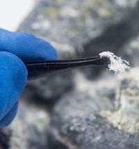 Asbestos