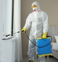 A man spraying insecticides